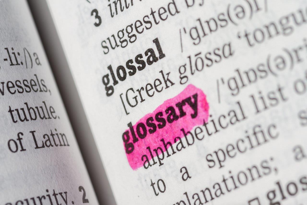 looking up 'glossary' in dictionary