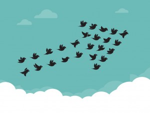 birds in arrow formation