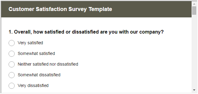 customer satisfaction survey