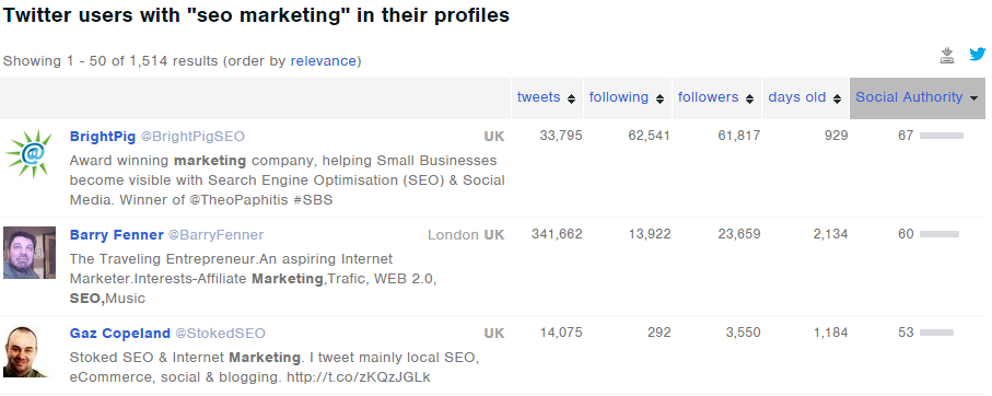 seo marketing in influencer profiles