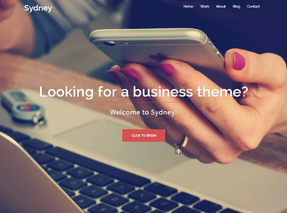 choosing a wordpress theme