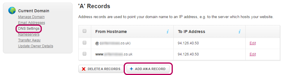 blank dns record