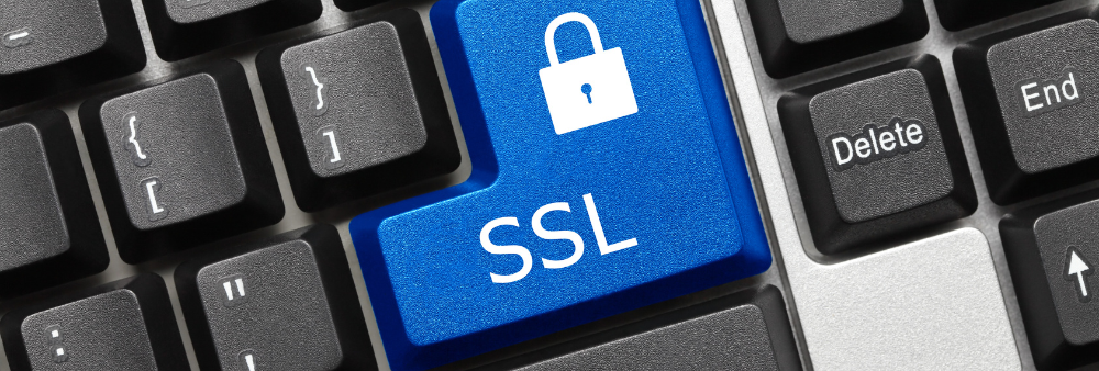 What are the differences between a paid SSL certificate and a free one?