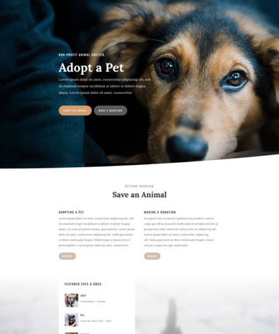 Animal Shelter WordPress Hosting Theme
